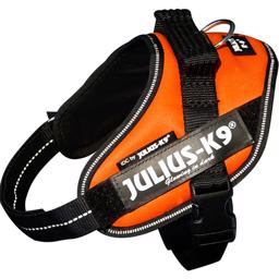Hundsele från Julius K9 i färgen orange
